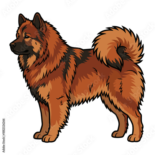 Eurasier Purebred Dog, Studio Portrait Isolated on a White Background