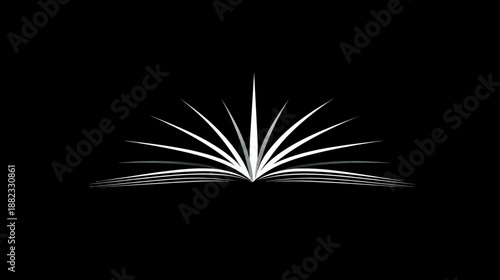 Abstract Open Book Symbol with Fanning Pages. Elegant Knowledge, Education, and Learning Graphic Design Element on Black.