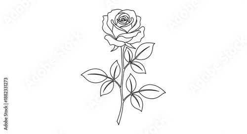 A delicate line drawing of a single rose with leaves on a stem