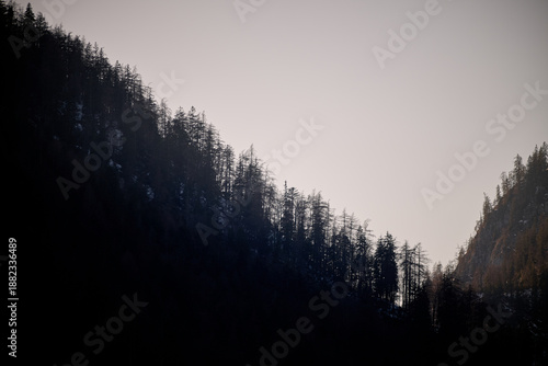 Tree-lined saddle and valley gap at twilight; dark ridges and pastel sky create a calm winter mood in the Chiemgau Alps.