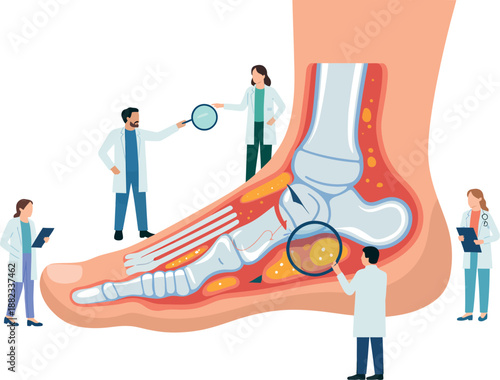 Medical professionals examine a cross-section of a human foot with a magnifying glass.