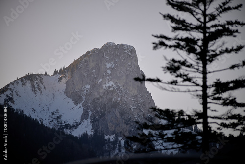 a sun-warmed alpine forest above the Chiemgau Arena, Ruhpolding. Sport meets nature in soft evening tones.