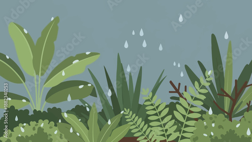 Lush Green Foliage with Raindrops on Leaves.