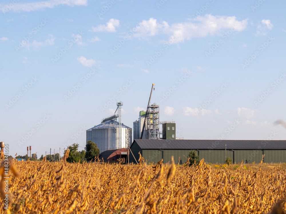 Fototapeta premium Harvesting season with silos and fields of crops visible