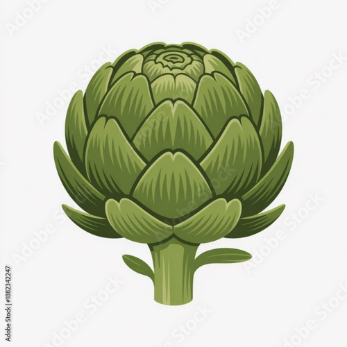 A vibrant green artichoke illustration on a clean white background
