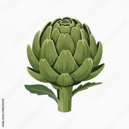 A green artichoke vector illustration on a white background