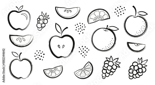 Hand Drawn Fruit Collection Apples Oranges Grapes and Slices.
