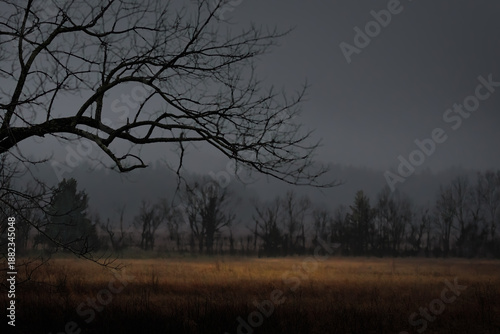 Overcast day in Cades Cove