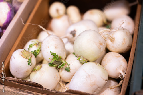 Basket filled with ripe turnips on display at market. Shoppers are offered fruits and vegetables from around the world © JackF