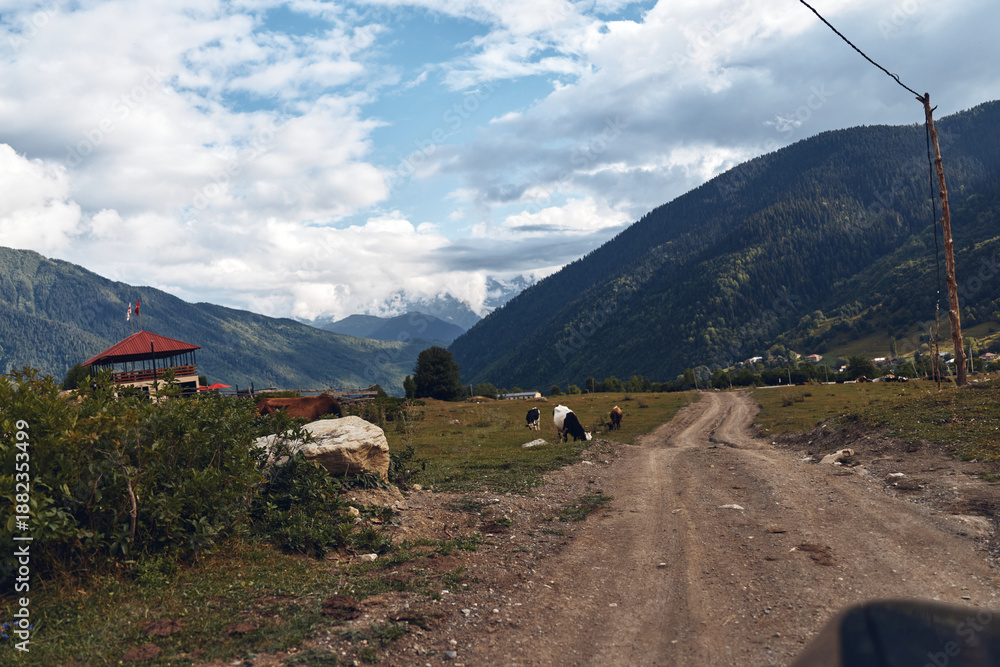 Fototapeta premium Mountain road rural cows farmhouse landscape meadow clouds gravel path with distant peaks authentic inclusive scene of local farming life and pastoral countryside rustic charm