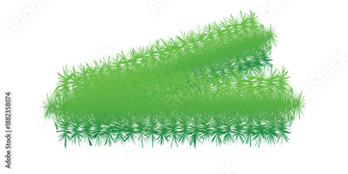 Close-up of delicate skeletonized green leaves with intricate vein patterns.