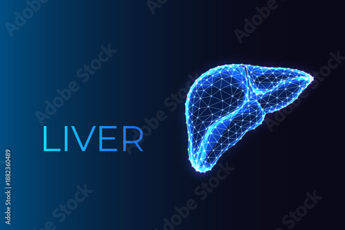 Human Liver Anatomy. Medical Health, Biotech and Diagnostics Low-Poly Vector Illustration