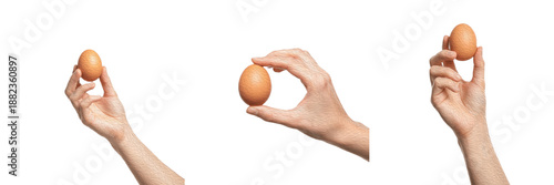 Fotografija Set/Collection of fresh organic eggs hand holding, realistic chicken eggs in nat