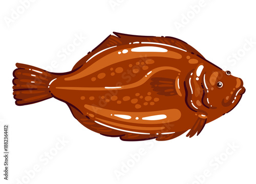 Flounder flatfish seafood, fresh flounder for mediterranean cuisine, lean marine fish with mild taste, healthy protein food, whole flat fish ingredient for cooking, cartoon vector illustration