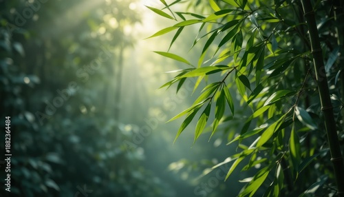 Sunlight Filters Through Lush Bamboo Leaves in a Tranquil Forest Setting During Early Morning Hours
