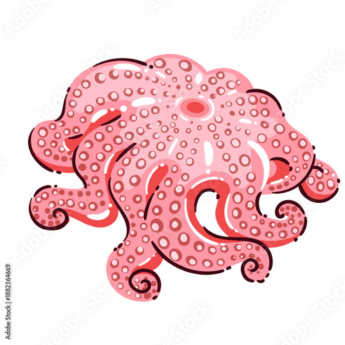Octopus seafood, fresh octopus for mediterranean cuisine, tender marine delicacy rich in protein, healthy diet food, whole octopus ingredient for cooking, cartoon vector illustration