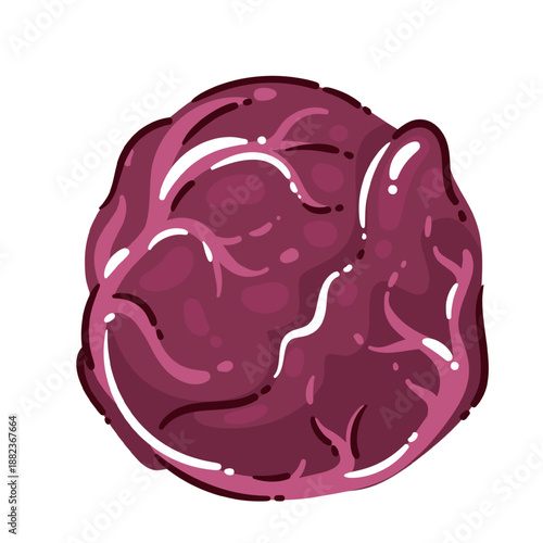 Beetroot vegetable with deep purple skin and round shape, whole beet for cooking and salads, fresh beet root crop, organic beetroot, cartoon vector illustration