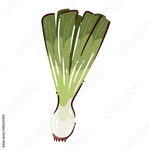 Leek green vegetable with long stalks and white bulb, fresh leek for cooking and healthy diet, natural vegetable ingredient, leek produce, plant based food, cartoon vector illustration