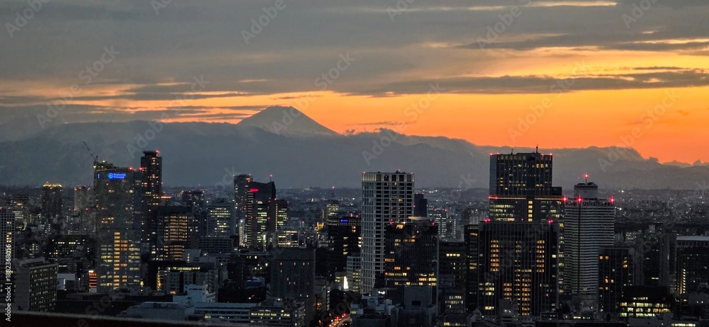 Obraz premium Tokyo Sunset