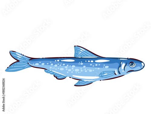 Sardine sea fish with streamlined body and fins, seafood product, mediterranean cuisine, healthy diet, omega 3 nutrition, fresh sardine food concept, cartoon vector illustration