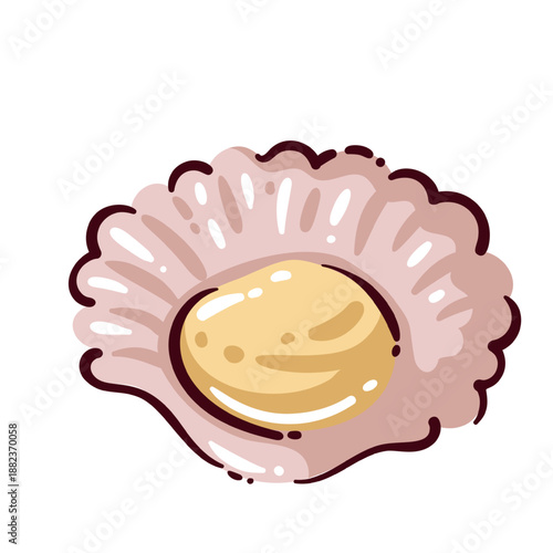 Scallop meat delicacy, premium sea scallop flesh for gourmet and mediterranean cuisine, luxury seafood ingredient, healthy protein food, fine dining concept, cartoon vector illustration