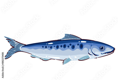 Herring seafood fish, whole atlantic herring with silver blue body, fresh marine fish, omega 3 source, healthy diet food, mediterranean cuisine concept, seafood vector illustration