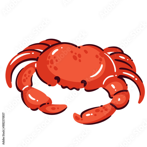 Crab seafood crustacean, fresh crab for mediterranean cuisine, healthy diet food rich in protein and minerals, seafood ingredient for cooking, crab product, seafood illustration, vector illustration