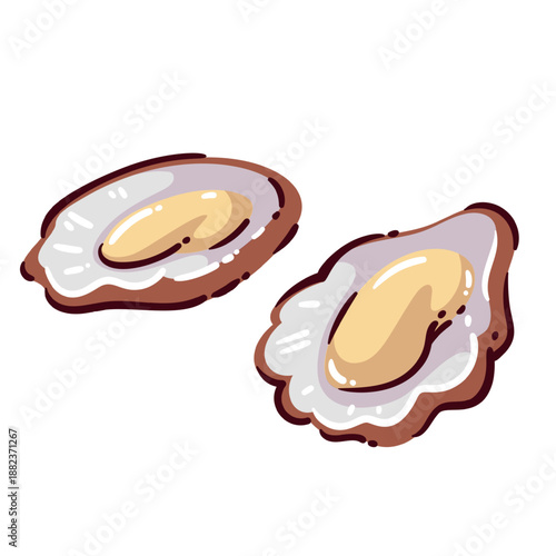 Oyster seafood delicacy, fresh oysters with shell for mediterranean cuisine, luxury seafood product, healthy diet food rich in minerals, gourmet ingredient, cartoon vector illustration