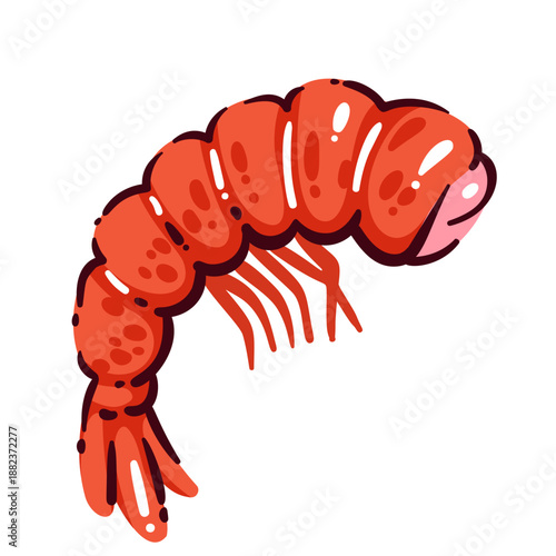 Shrimp seafood crustacean, fresh shrimp for mediterranean cuisine, healthy diet food rich in protein and omega 3, seafood ingredient for cooking, shrimp product, seafood illustration, vector illustrat
