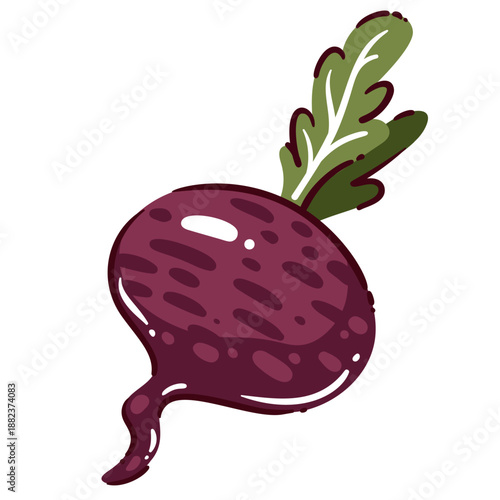 Beetroot fresh vegetable food, whole raw beet with leaves, red root crop ingredient, organic beetroot for cooking and cuisine, natural farm produce, cartoon vector illustration