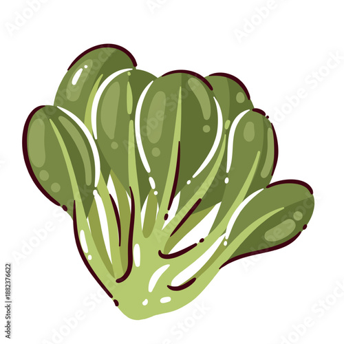 Bok choy leafy vegetable with green leaves and pale stems, fresh pak choi cabbage, asian greens for cooking and cuisine, raw organic produce, cartoon vector illustration