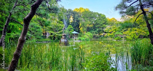 Photography Peaceful Park in Tokyo