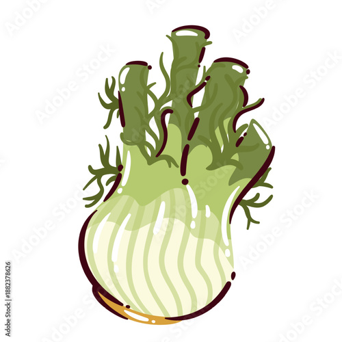 Fennel bulb vegetable with green stalks and layered base, fresh fennel ingredient for cooking and cuisine, raw aromatic fennel plant, organic vegetable food, cartoon vector illustration