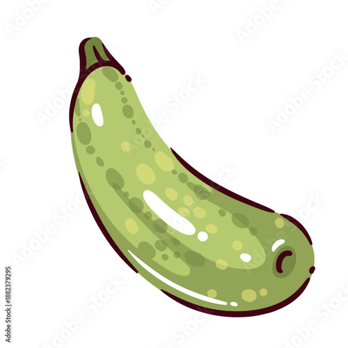 Zucchini vegetable with green skin and fresh texture, whole zucchini squash, raw vegetable ingredient for cooking, healthy plant food, organic zucchini, cartoon vector illustration