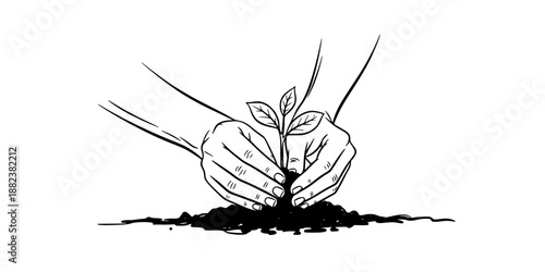 A pair of human hands gently cupping a tiny, budding sapling with visible soil crumbles.