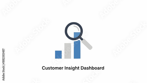 Customer Insight Dashboard Business Graph.