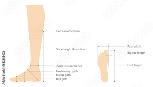 Shoe sizing measurement guide flat. Calf circumference, ankle ball girth for apparel industry design catalog and footwear specification. Technical fashion illustration CAD mockup vector isolated style