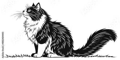 Elegant Black and White Cat Illustration Stylized Portrait Graphic Design Artwork