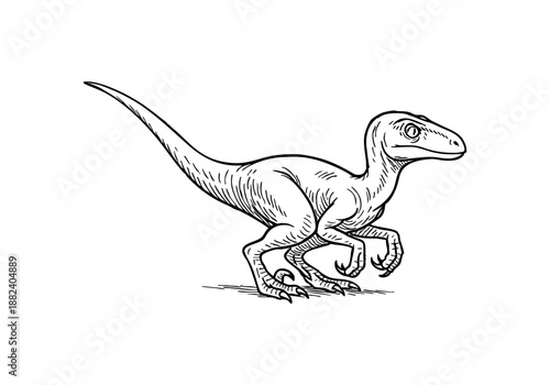 Velociraptor hand drawn simple sketch vector illustration