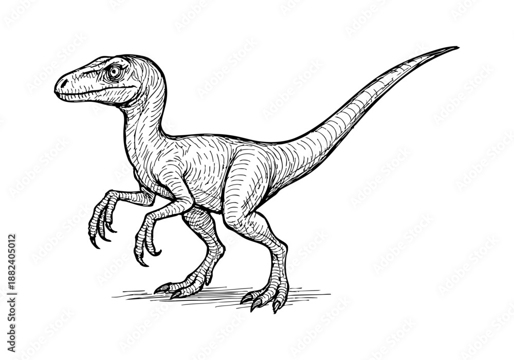 Fototapeta premium Velociraptor hand drawn simple sketch vector illustration