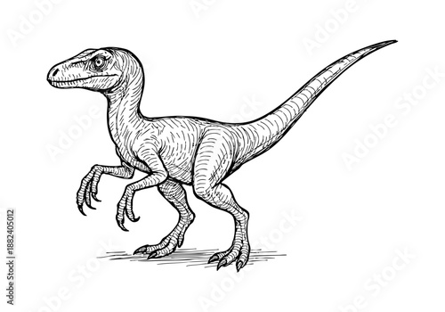 Velociraptor hand drawn simple sketch vector illustration