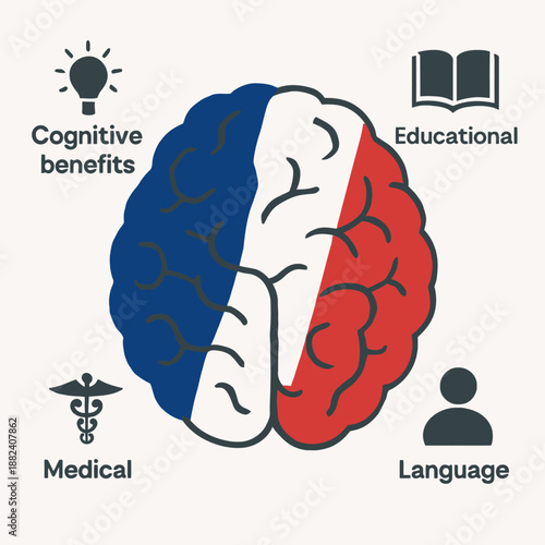Brain icon with French flag pattern inside