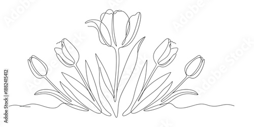 A delicate continuous line illustration featuring a single large tulip surrounded by smaller buds Vector, illustration