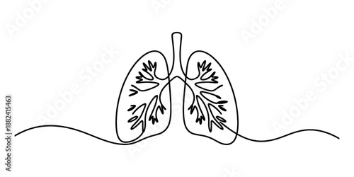 A single continuous line drawing illustrating the intricate structure of human lungs Vector, illustration