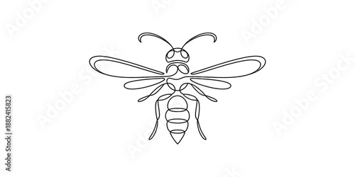 A minimalist continuous line art drawing of a flying bee or wasp on a white background Vector, illustration