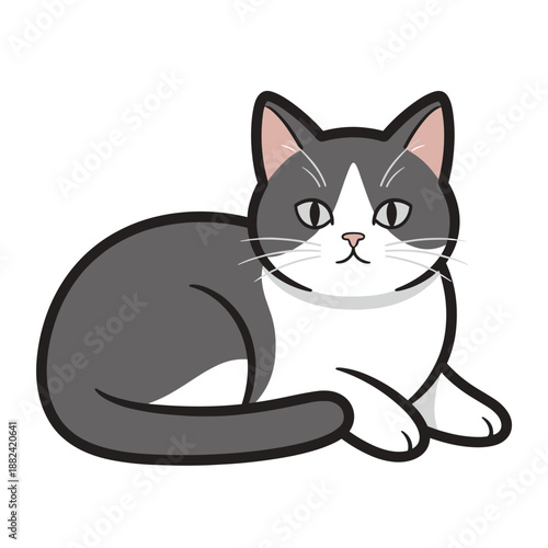 A cute domestic cat with grey and white fur is comfortably lying down, looking directly at the viewer with curiosity.