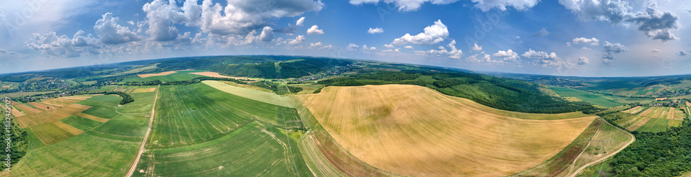 Fototapeta premium Aerial landscape view of green and yellow cultivated agricultural fields with growing crops on bright summer day