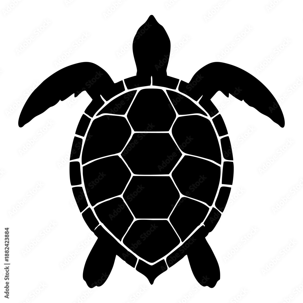 Obraz premium silhouette of a turtle on a white background