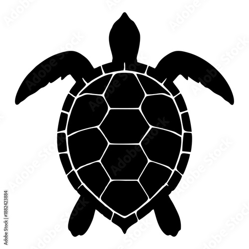 silhouette of a turtle on a white background