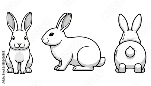 Cute Cartoon Rabbit Illustration Showing Front Side and Back Views.